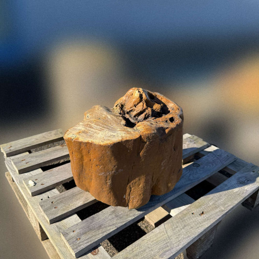 Bloc de bois pétrifié fossilisé 002 - Pièce unique