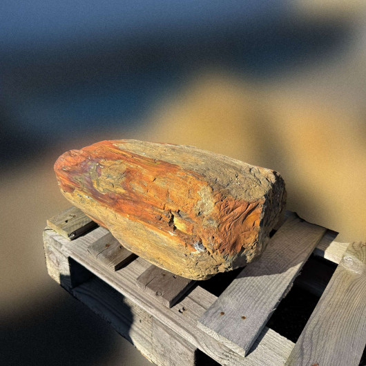 Bloc de bois pétrifié fossilisé 004 - Pièce unique