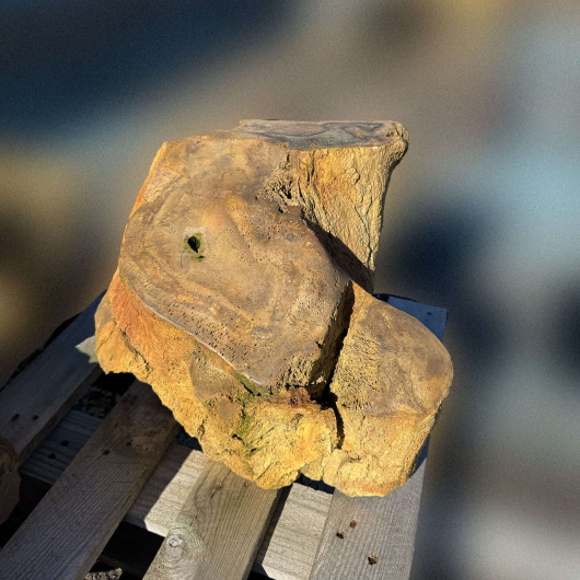 Bloc de bois pétrifié fossilisé 005 - Pièce unique