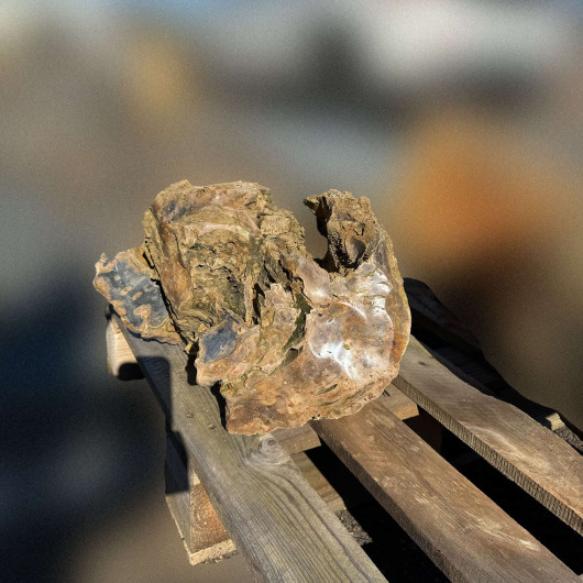 Bloc de bois pétrifié fossilisé 006 - Pièce unique