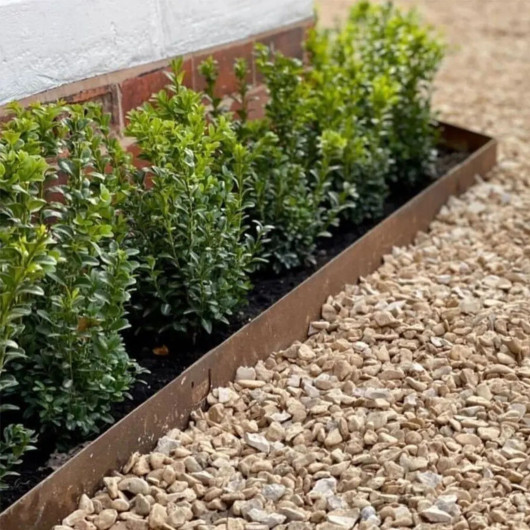 Bordure de jardin flexible à planter Corten 100x10 cm