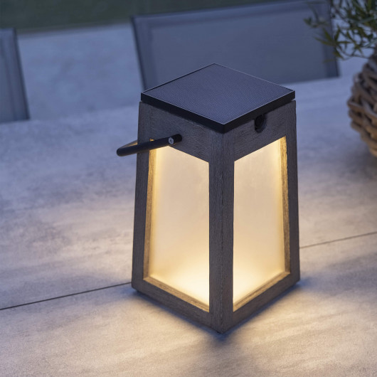 Relaxdays Lampe solaire pour extérieur en set de 5, lanterne LED, avec  piquet, HD : 42,5x10 cm, noire et transparente
