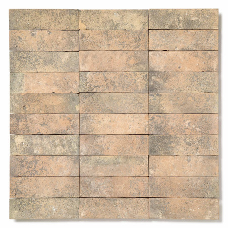 Mosaïque mur Terre cuite patinée 3x10 cm