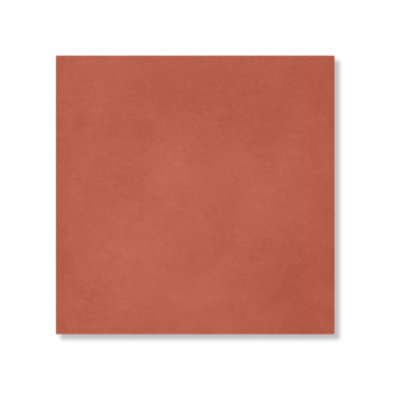 Carreau de ciment véritable uni Rouge 20x20x1,6 cm