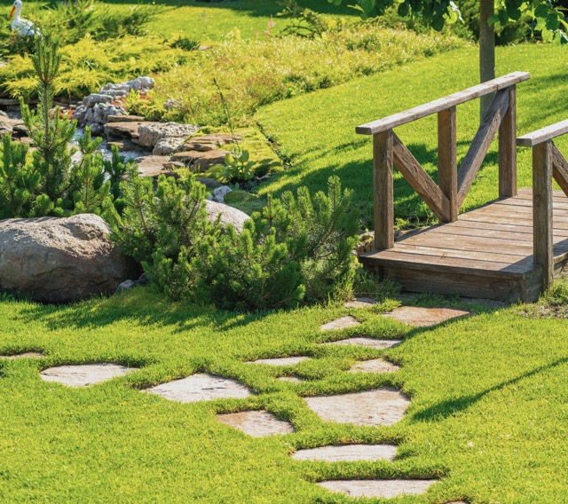 Pas japonais menant &agrave; un pont en bois dans un jardin paysager