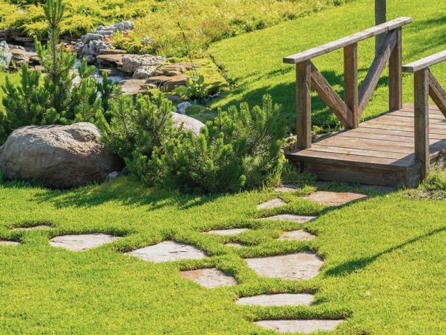 Pas japonais menant &agrave; un pont en bois dans un jardin paysager