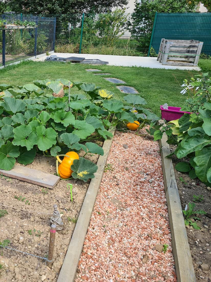 Tendances jardin 2024, le retour aux sources !