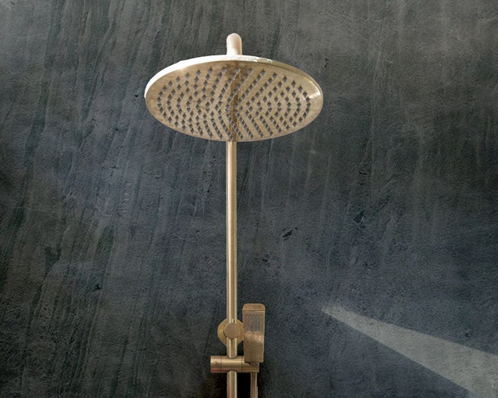 Feuille de pierre dans la douche