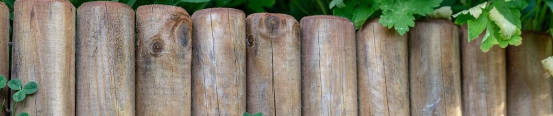 bordure bois credit Eye Em bordure bois rondin