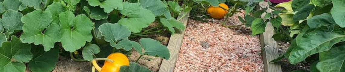 gravier-calcaire-mix-orange (2)– gravier-calcaire-mix-orange (2)--